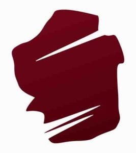 Current logo / icon