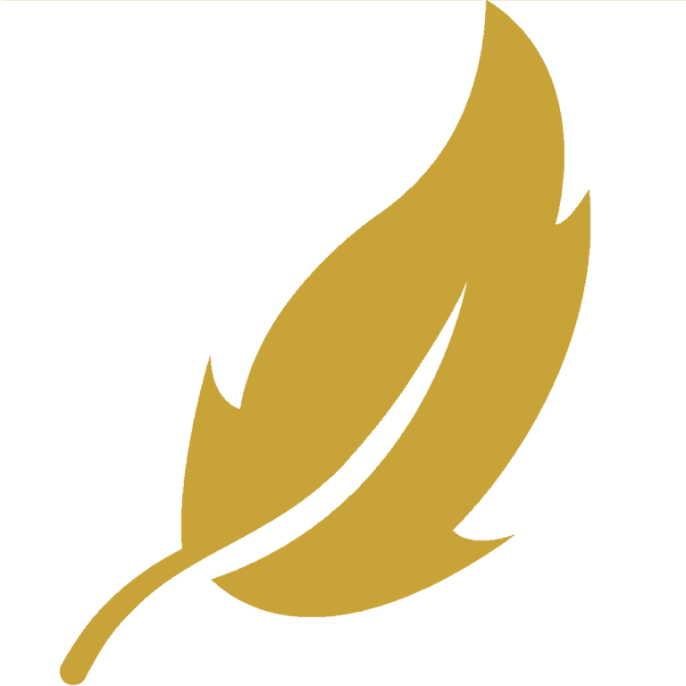 Debets logo