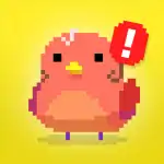 Find Bird logo