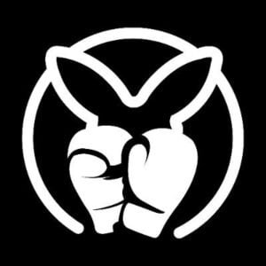 Current logo / icon