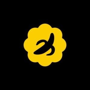 Current logo / icon