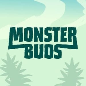 Current logo / icon