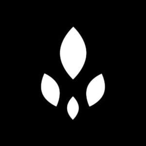 Current logo / icon