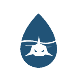 StarSharks SEA