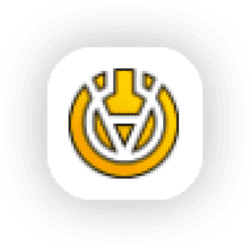 StonkLeague