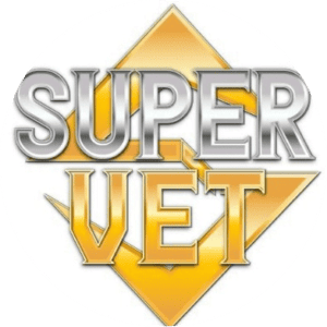 Current logo / icon