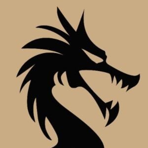 Current logo / icon