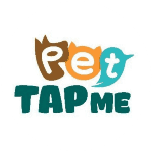 Current logo / icon