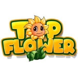 Current logo / icon
