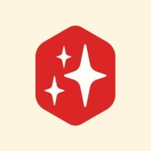 Current logo / icon