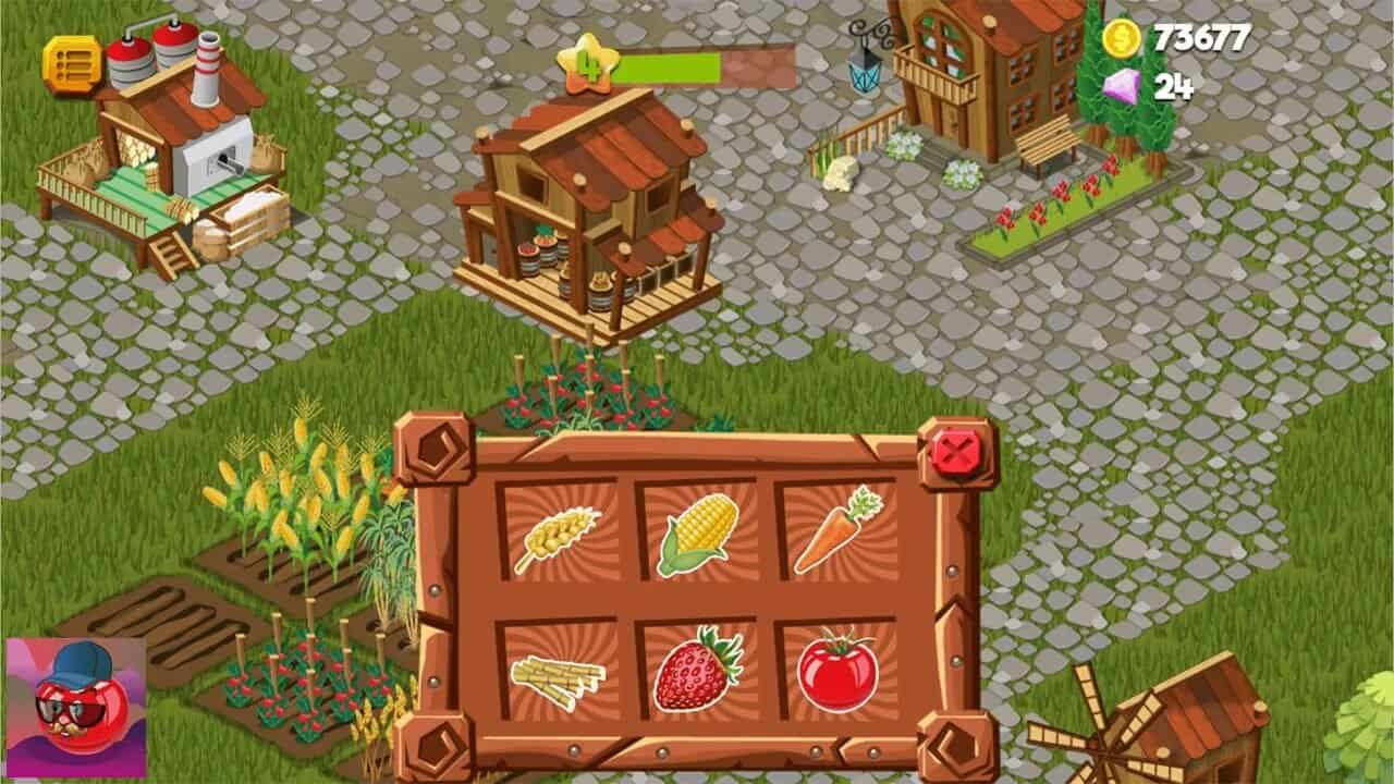 Veggies Farm