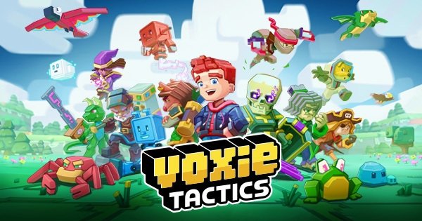 Voxies