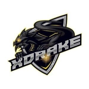 Current logo / icon