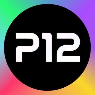 Project Twelve (P12)