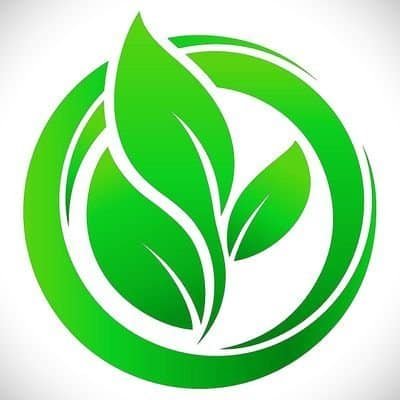 FloemCapital