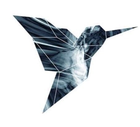 Hummingbird capital