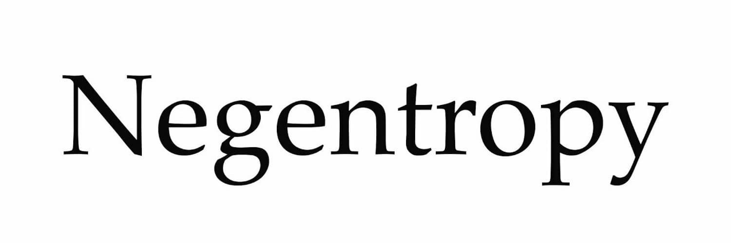 Negentropy Capital