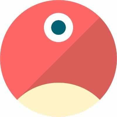 pNetwork