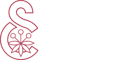 Spice Capital Partners