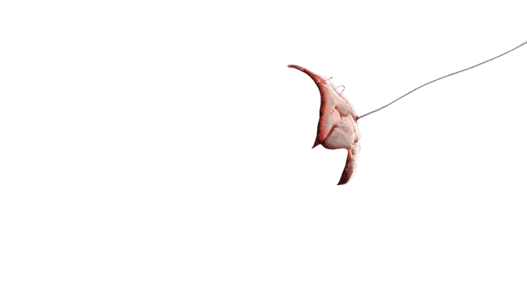 Aipocalypto