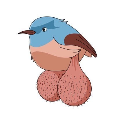 BIG BALLS BIRDS