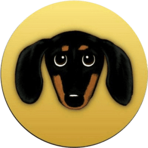 Current logo / icon