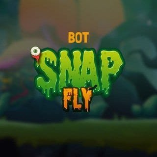 Snapfly