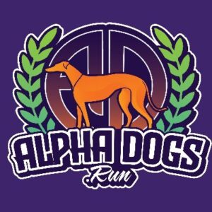 Current logo / icon