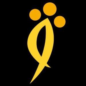 Current logo / icon