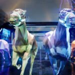 VHS Introduces ZED Picks A Virtual Horse Racing Prediction Game