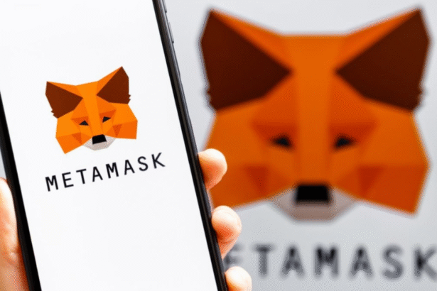 "MetaMask Sparks Token Airdrop Buzz with Latest Domain Registrations"