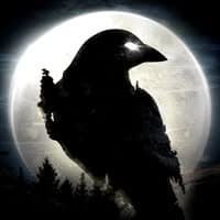 Night Crows logo