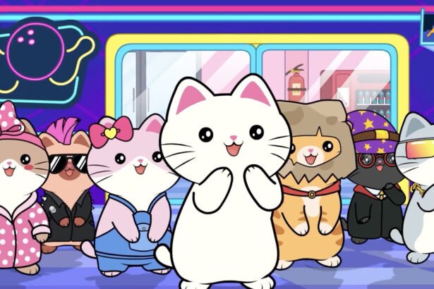 Silly Kitties Receives Ronin Grant to Expand Casual Web3 Cat Games