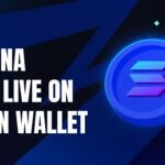 Ronin Wallet Adds Solana Support With Cross-Chain Swaps