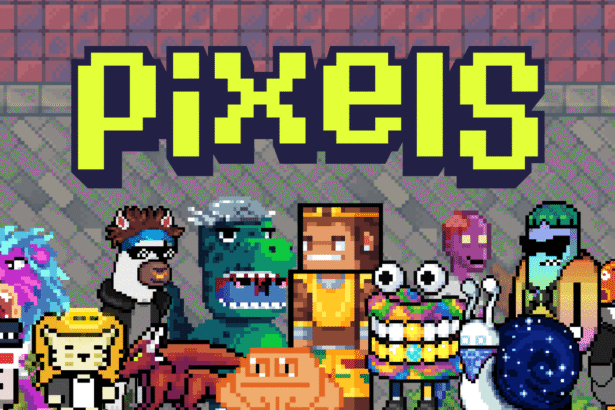 "Pixels Expands Animal Care Services: Discover New Quests, Crafts, and VIP Features"