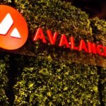 "VanEck Launches New Avalanche ETF on NASDAQ: Exploring Its Impact on Web3 Gaming and the AVAX Ecosystem"