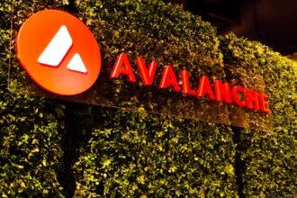 "VanEck Launches New Avalanche ETF on NASDAQ: Exploring Its Impact on Web3 Gaming and the AVAX Ecosystem"