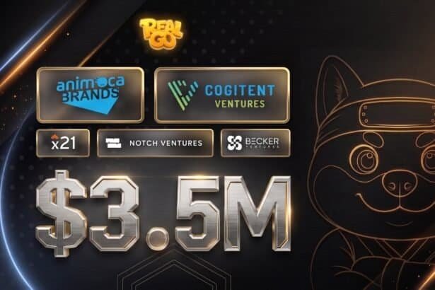 RealGo raises $3.5M from Animoca Brands, Cogitent Ventures and others for meme-themed AR game