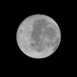 Artemis II carried organs-on-chips built from crew cells, opening door to personalized space medicine