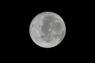 Artemis II carried organs-on-chips built from crew cells, opening door to personalized space medicine