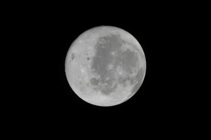 Artemis II carried organs-on-chips built from crew cells, opening door to personalized space medicine