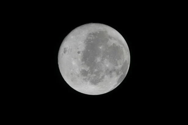 Artemis II carried organs-on-chips built from crew cells, opening door to personalized space medicine