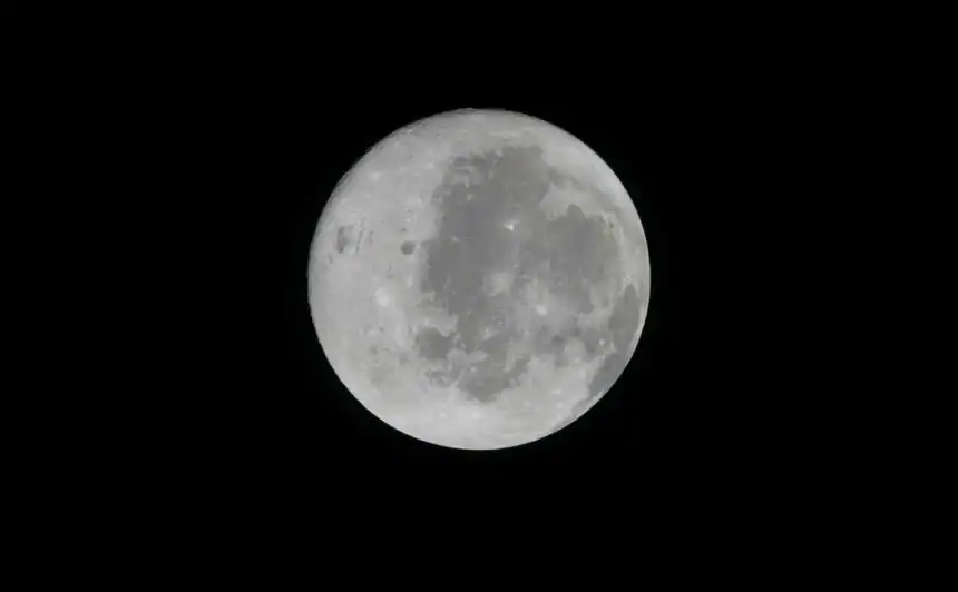 Artemis II carried organs-on-chips built from crew cells, opening door to personalized space medicine