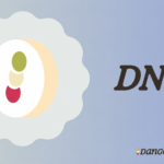 Dango Blockchain shuts down just four months after launch, halting DEX