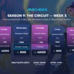 Anichess schedules a tournament every night this week, four free to enter