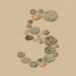 Anthropic's Opus 5 isn't the leap Opus 4.5 was, and that's fine