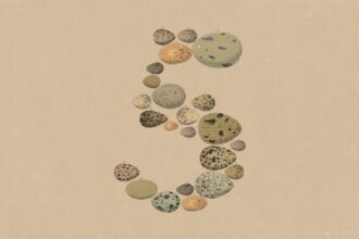Anthropic's Opus 5 isn't the leap Opus 4.5 was, and that's fine