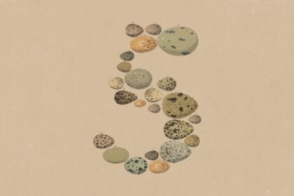 Anthropic's Opus 5 isn't the leap Opus 4.5 was, and that's fine