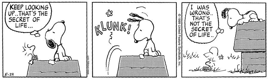 Snoopy and Woodstock look up to the sky in a famous Peanuts comic strip