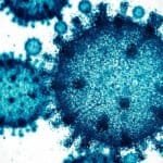 AI designed 300 viruses. Only 16 of them worked